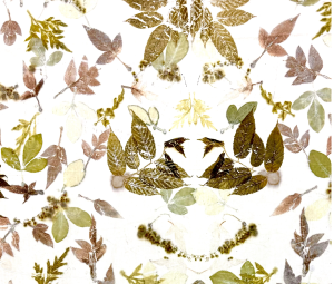ECO Print Baumwolle Modelle